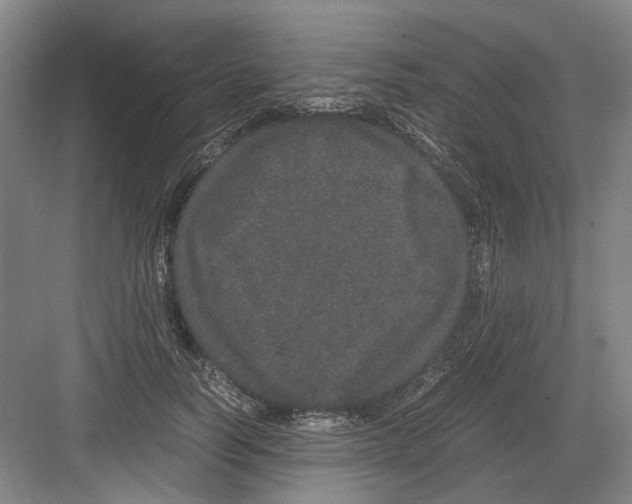 X0000082200746200702170018