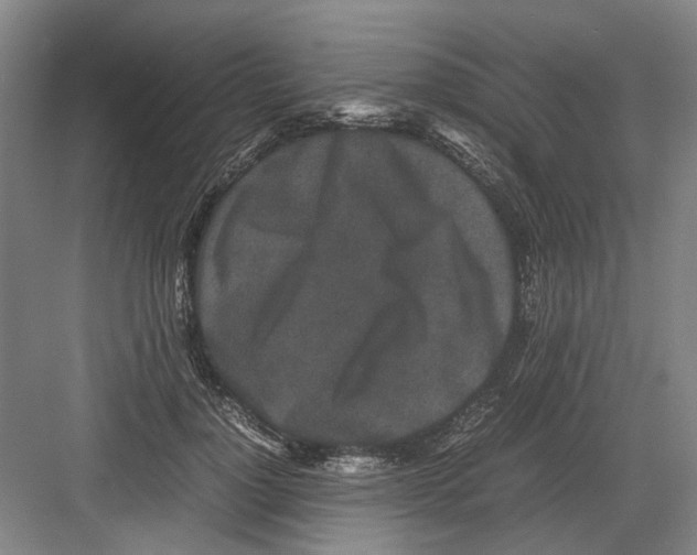 X0000082200748200702170018