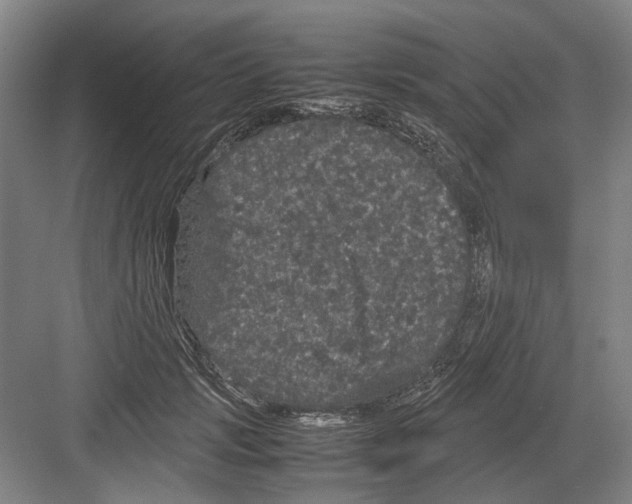 X0000082200749200702170018