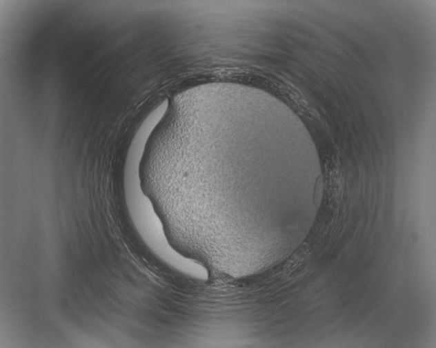 X0000082200750200702170018