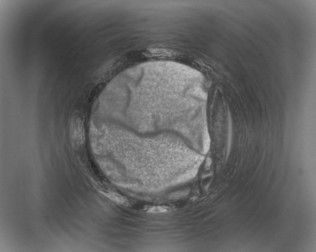 X0000082200751200702170018