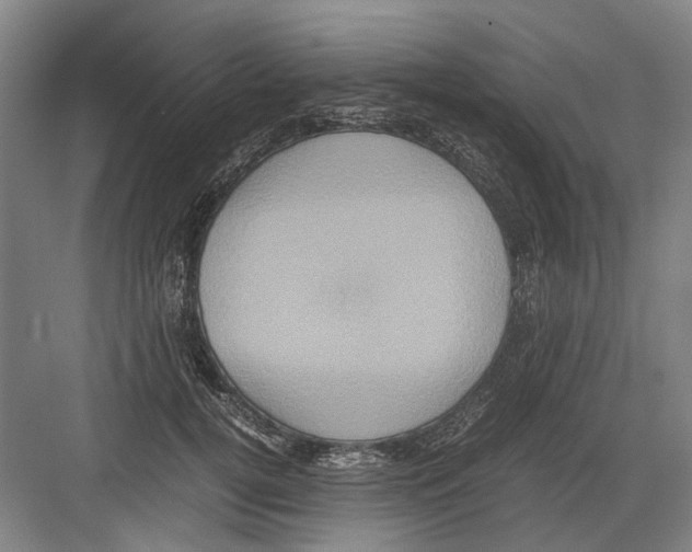 X0000082200752200702170018