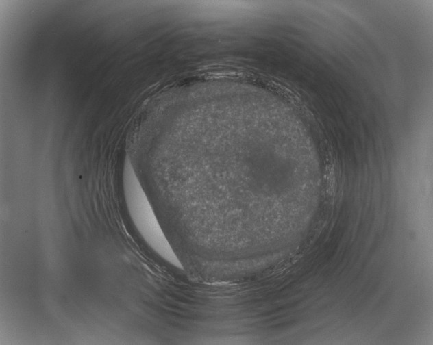 X0000082200753200702170018