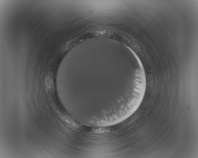 X0000082200754200702170018