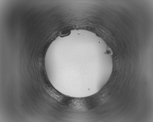 X0000082200756200702170018