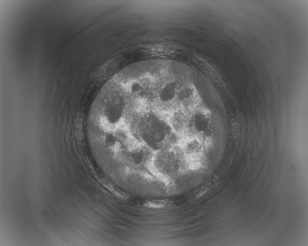 X0000082200757200702170018