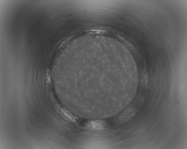 X0000082200758200702170018