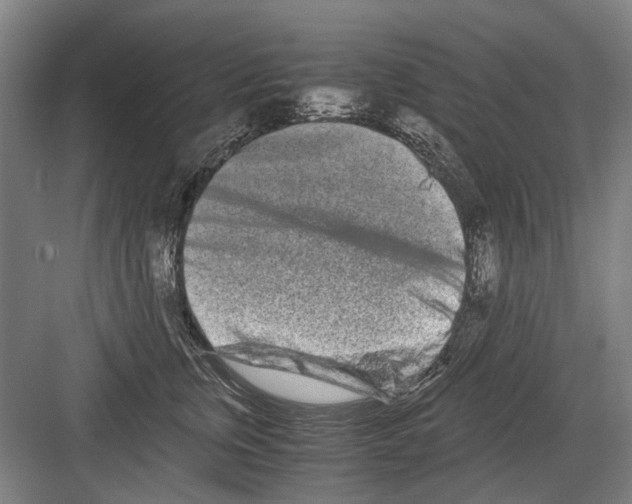 X0000082200759200702170018