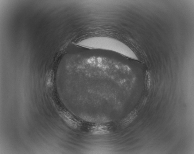 X0000082200760200702170018