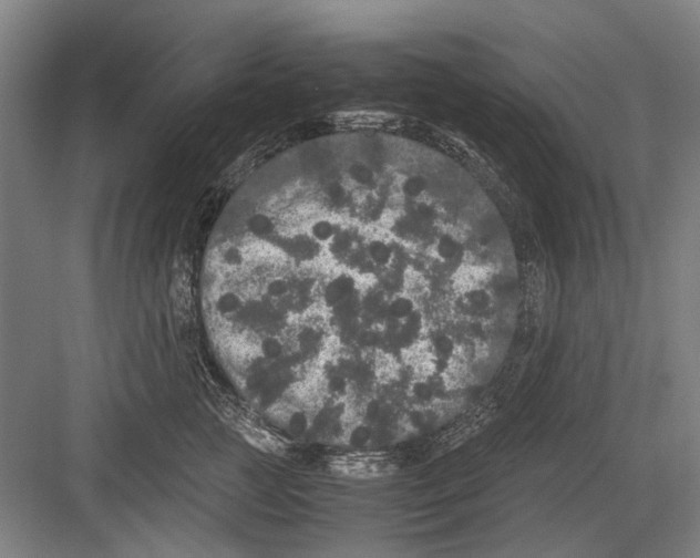 X0000082200761200702170018