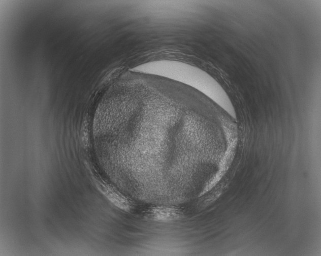 X0000082200762200702170018