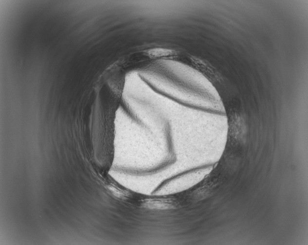 X0000082200763200702170018