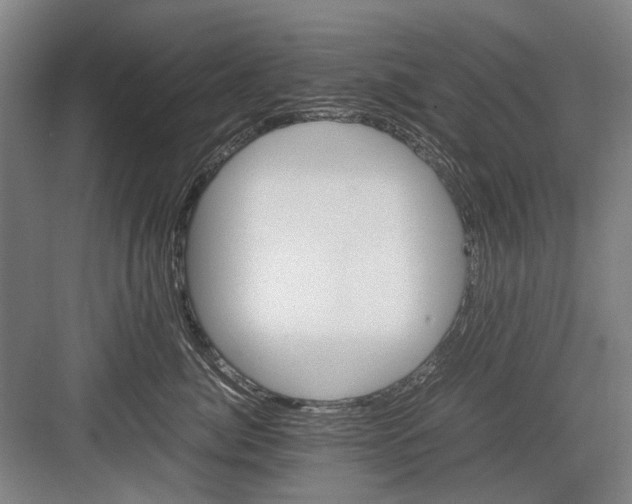 X0000082200764200702170018