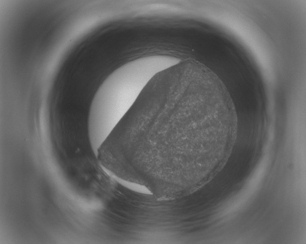 X0000082200765200702170018