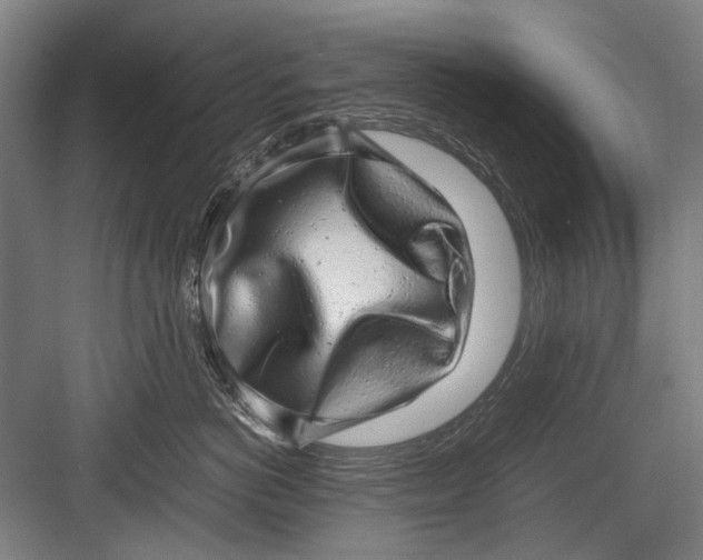 X0000082200766200702170018