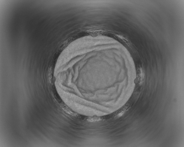 X0000082200767200702170018