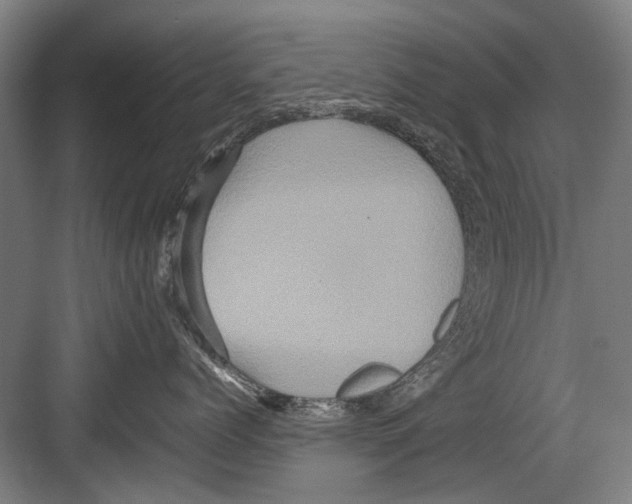 X0000082200768200702170018