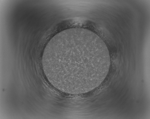 X0000082200769200702170017