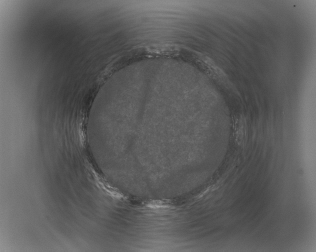 X0000082200770200702170017