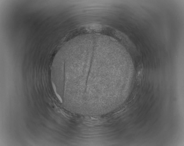 X0000082200772200702170017