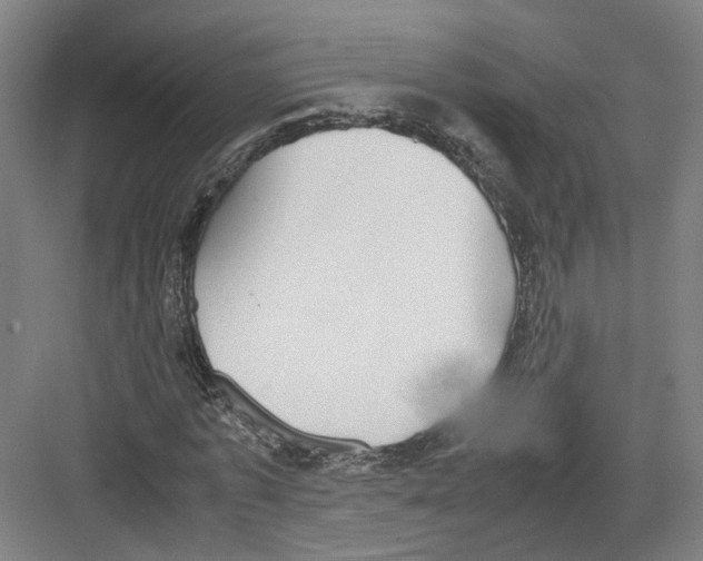 X0000082200773200702170017