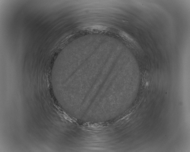 X0000082200774200702170017