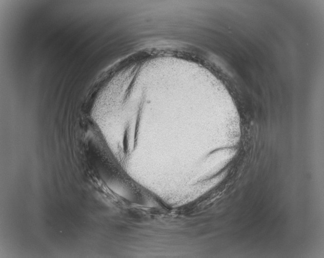 X0000082200775200702170017