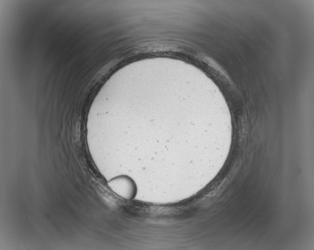 X0000082200777200702170017