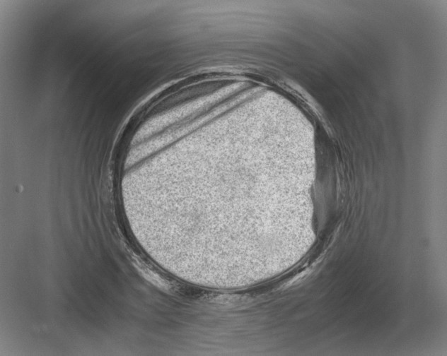 X0000082200779200702170017