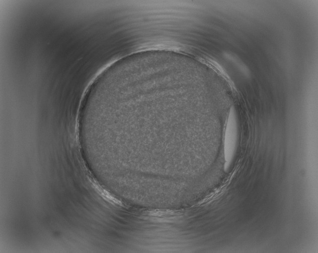 X0000082200780200702170017