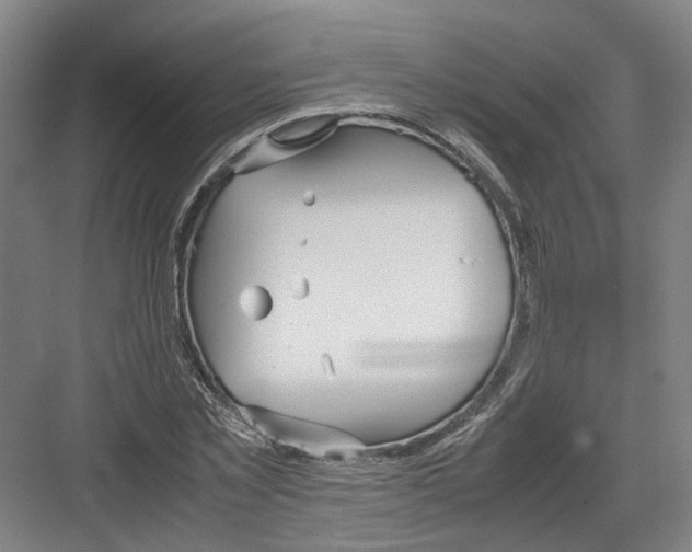 X0000082200781200702170017