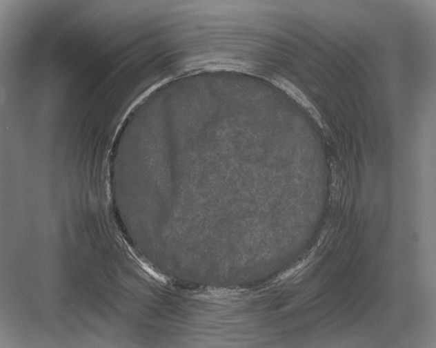 X0000082200782200702170017