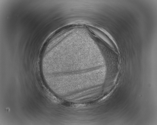 X0000082200783200702170017