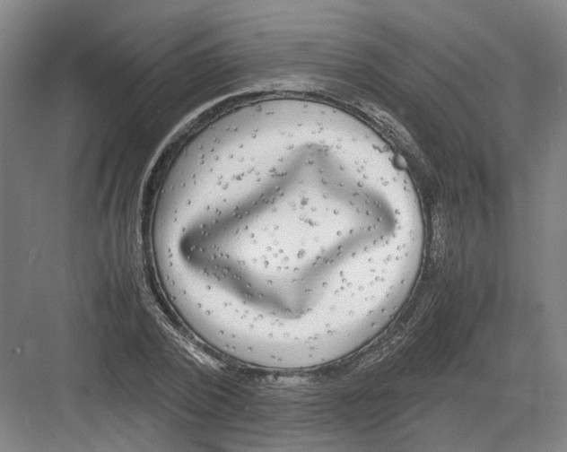 X0000082200784200702170017