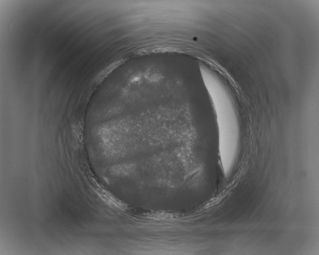 X0000082200785200702170017