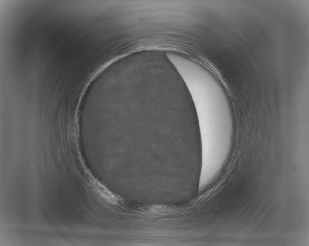 X0000082200787200702170017