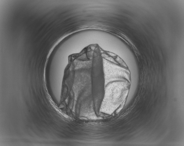 X0000082200788200702170017