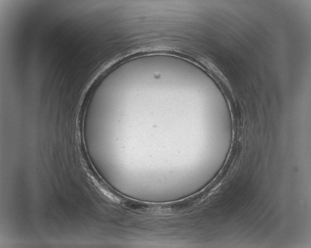 X0000082200789200702170017