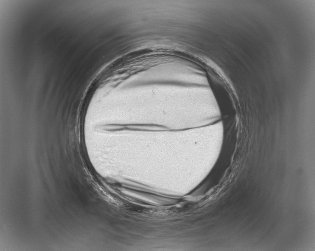 X0000082200791200702170017