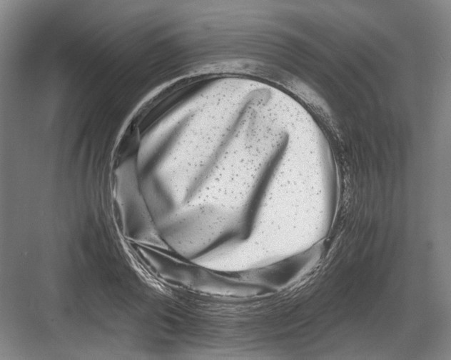 X0000082200792200702170017