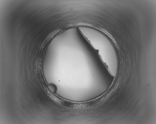 X0000082200793200702170017