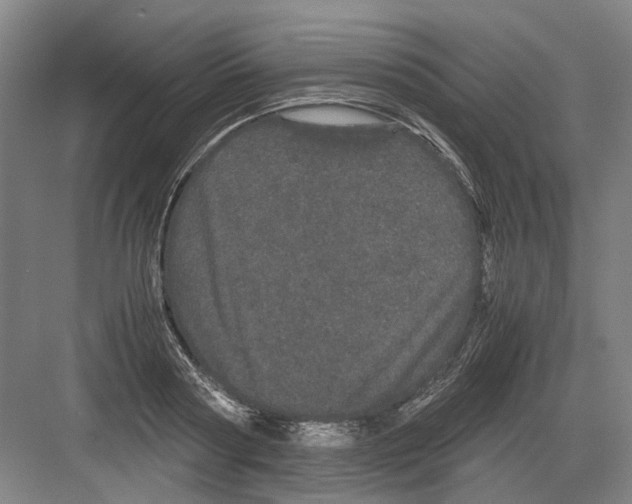 X0000082200794200702170017