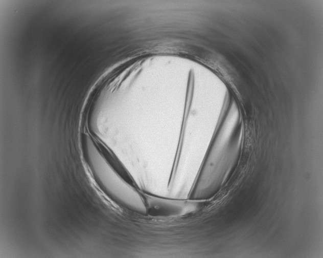 X0000082200795200702170017