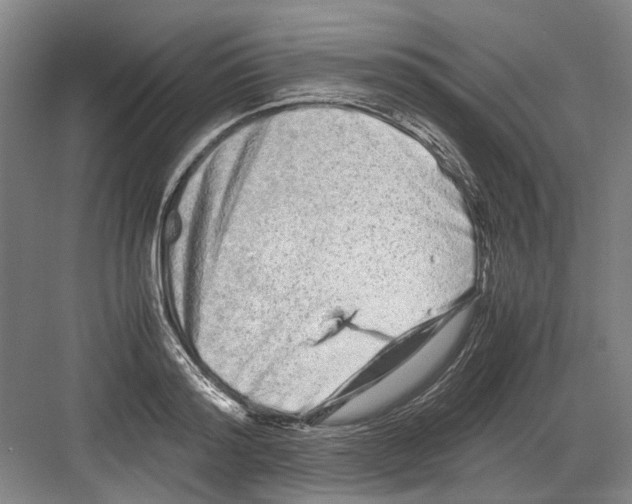 X0000082200796200702170017