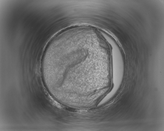 X0000082200799200702170017