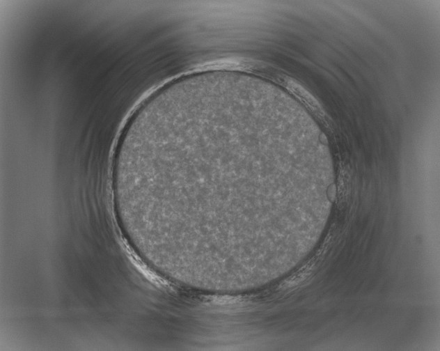 X0000082200800200702170017