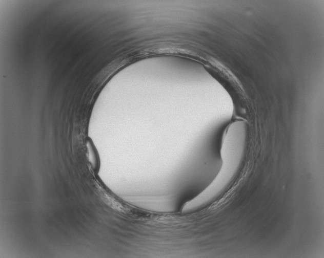 X0000082200801200702170017