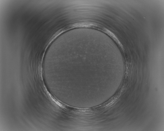 X0000082200802200702170017