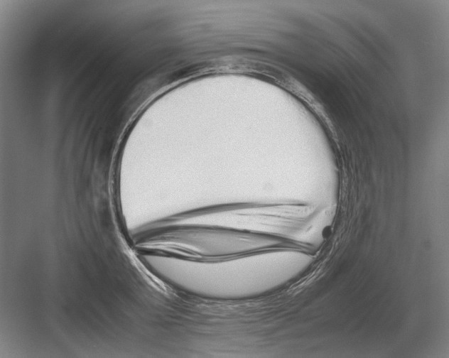 X0000082200803200702170017