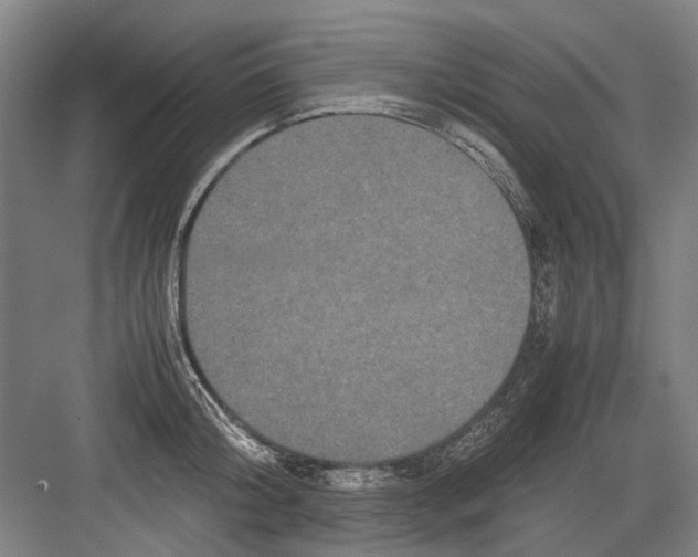 X0000082200804200702170017